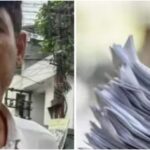ED Raids in Patna and Ranchi Over NEET Paper Leak Case