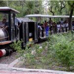 Patna Zoo to Lose Land and Trees for Airport Expansion After Ahmedabad Crash