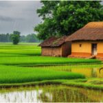 Monsoon Delayed in Bihar, No Relief From Heat Before June 16