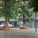 Bihar: Rainfall Brings Relief, But Thunderstorm Alert Issued for Northern Districts