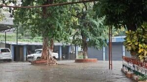 monsoon rain in bihar
