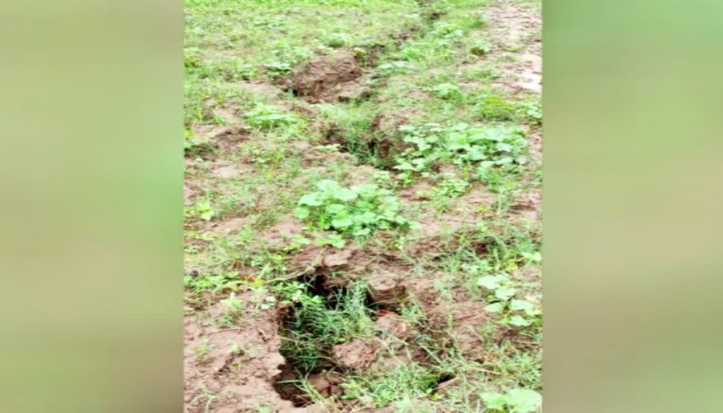 Fissures Emerge in Bihar Village After Heavy Rain, Sparking Fear Among Residents
