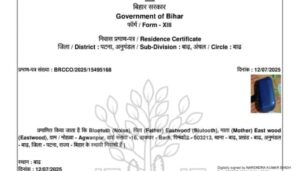 Patna’s Barh Circle Office Sparks Laughter After Issuing Residence Certificate to ‘Bluetooth’