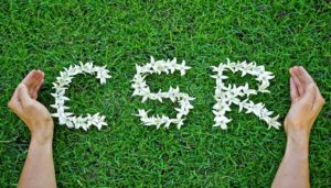 Notification Issued For Bihar CSR Policy 2025 To Boost Corporate Investment In State Welfare Projects
