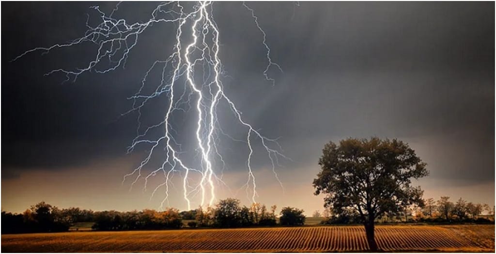 Bihar CM Nitish Kumar Announces Rs 4 Lakh Compensation for Families of 19 Killed by Lightning