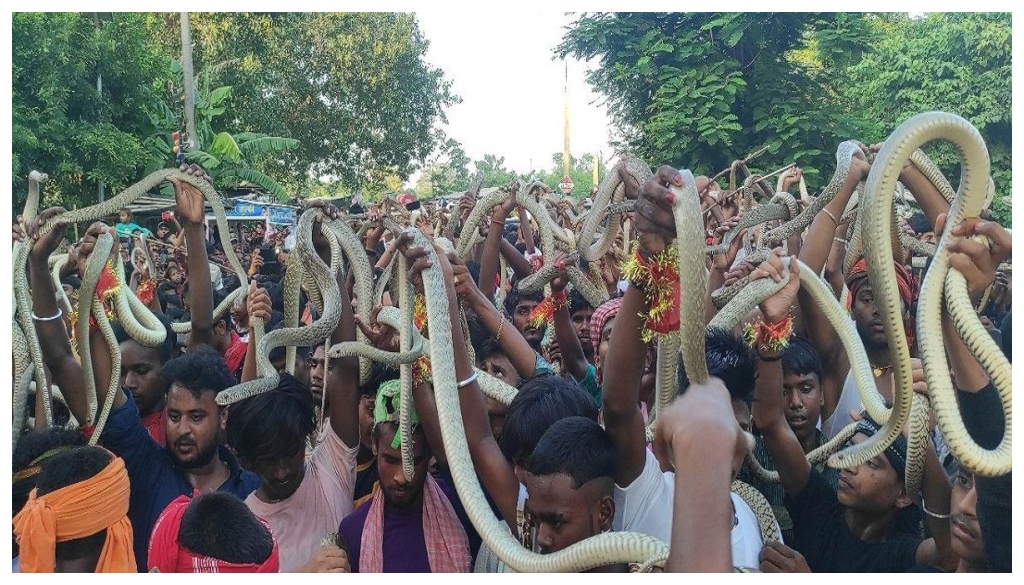 Decades-Old Snake Fair Banned in Samastipur, Action Taken Under Wildlife Act