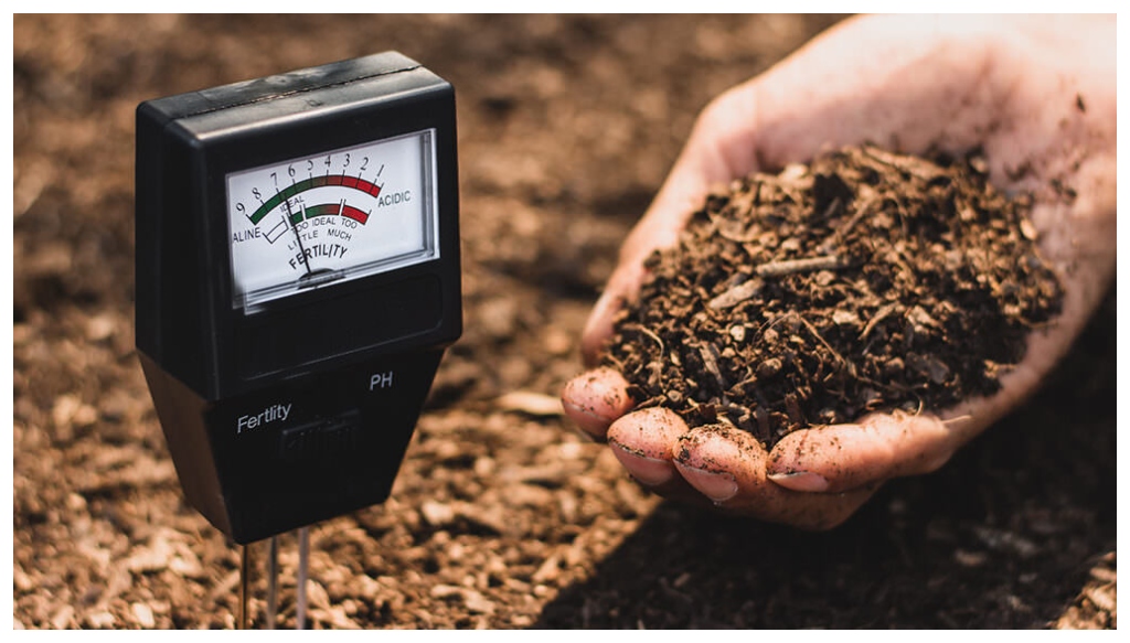 Bihar Tests 5 Lakh Soil Samples as Farmers Reap Benefits of Healthier Fields