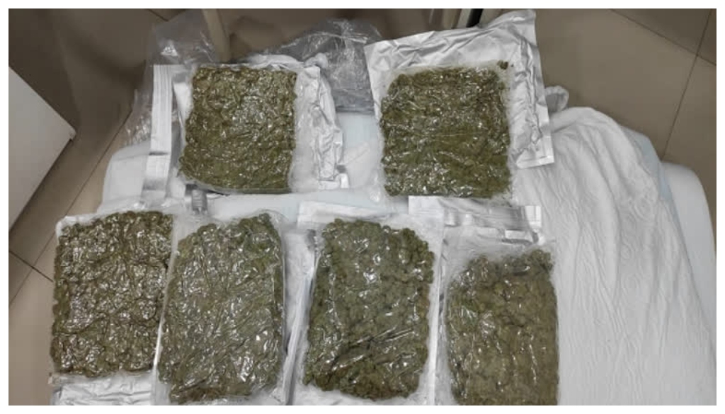 Three Arrested with 8 Kg of Ganja Near Patna Junction; Smuggling Racket Linked to Raghopur Diara
