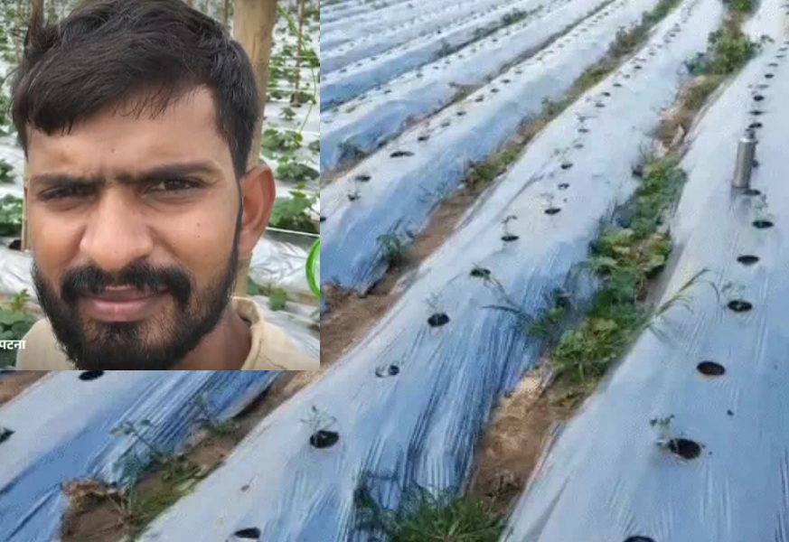 Patna farmer uses Israeli technology