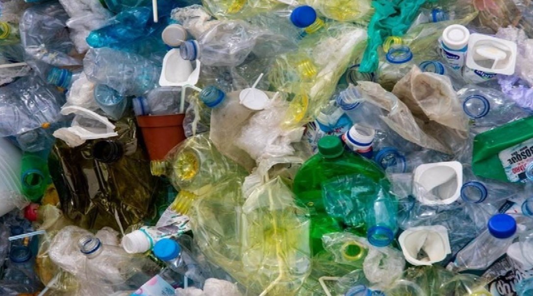 Patna Municipal Corporation to Ban Single-Use Plastics, Launch ‘Freedom from Garbage’ Drive from August 15