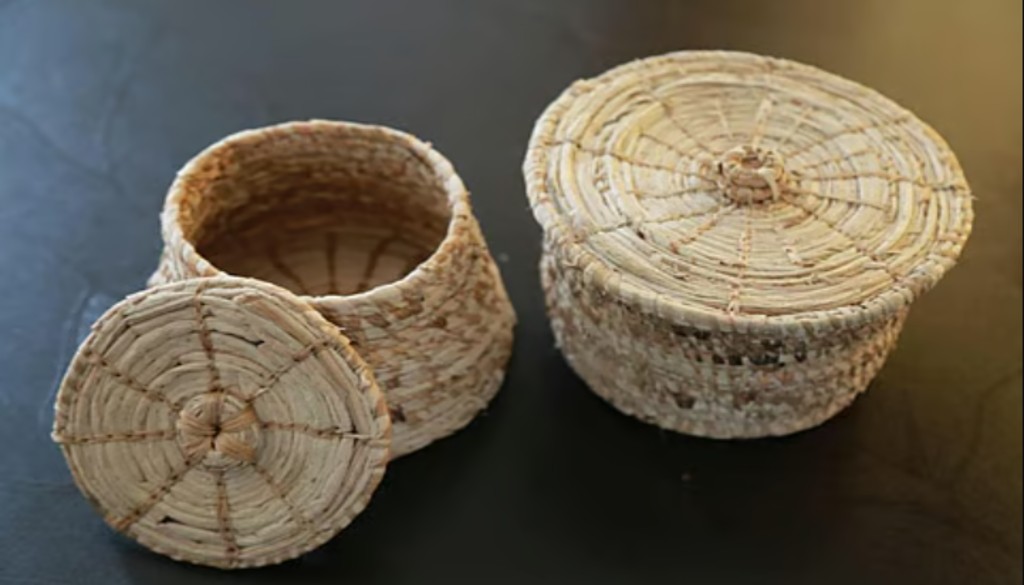 Women in Bihar weaving eco-friendly bags and baskets from dried water hyacinth as part of a rural employment initiative.