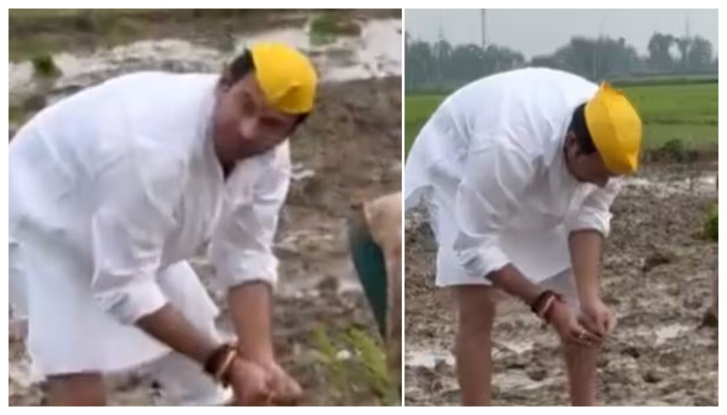 Tej Pratap Yadav’s New Avatar: Plants Paddy in Field, Asks Women and Farmers About their Condition