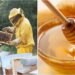 Bihar Emerges as India’s Fourth Largest Honey Producer