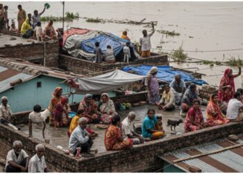 Bihar Floods Leave Villagers Stranded on Rooftops for Months