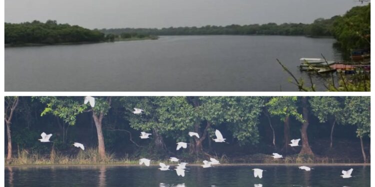 Bihar’s Gokul Reservoir and Udaipur Lake Declared Ramsar Sites, Raising State Total to Five as India Tops Asia