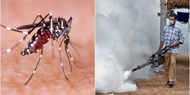 Dengue Scare in Patna: 624 Cases Reported, 375 Teams Deployed to Fight Outbreak