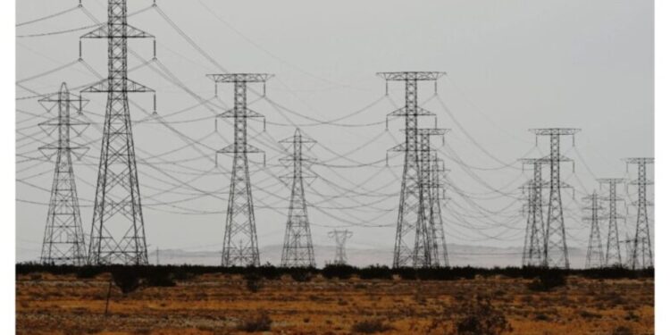 Fifth Electric House in Patna Commissioned to Boost Power Supply