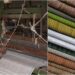 Bihar Government Offers 90% Subsidy on Charkhas and Looms to Boost Khadi Industry