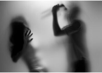 Husband Kills Wife and Dies by Suicide in Sitamarhi After Drunken Fight