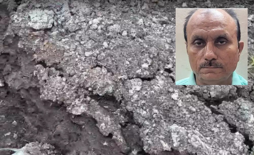 Natural manure farmer