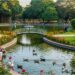 Bhagalpur to Get Three New Parks and Renovated Pond, Work to Begin Soon