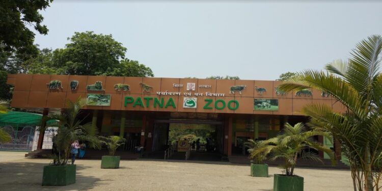 Patna Zoo Upgrades Facilities to Boost Visitor Experience and Entertainment