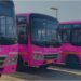 Pink Buses Become First Choice for Thousands of Women Commuters in Patna
