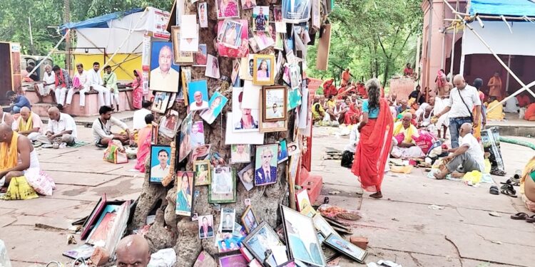 The Haunted Banyan of Pretshila: Where Families Hang Photos of the Untimely Dead