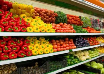 Bihar Government to Build Modern Vegetable Centres Across All Blocks to Boost Farmers’ Income