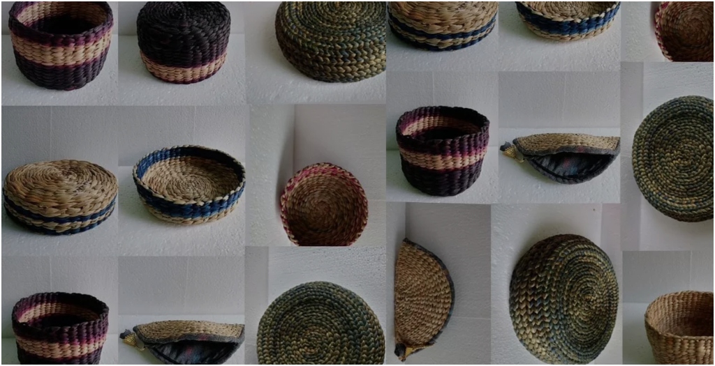 IIT Patna Student Turns Water Hyacinth Into Useful Products, Brings Jobs and Cleaner Rivers