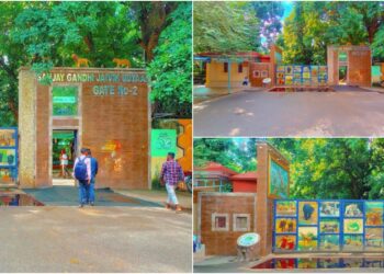 Bihar Government Seeks Public Suggestions to Modernise Patna Zoo to International Standards
