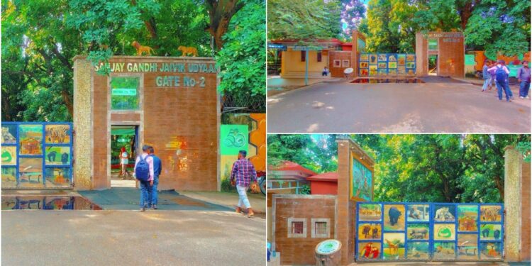 Bihar Government Seeks Public Suggestions to Modernise Patna Zoo to International Standards