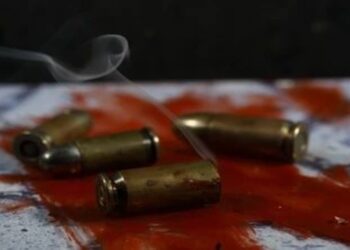 Bihar Crime News: Sweet Shop Owner and Son Shot Dead in Bhojpur, Bodies Dumped by Roadside