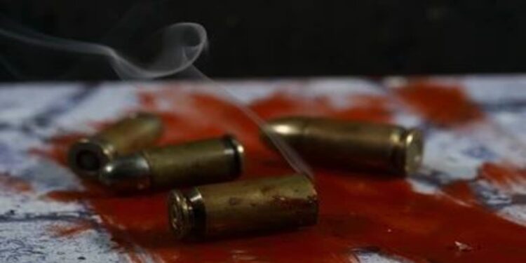 Bihar Crime News: Sweet Shop Owner and Son Shot Dead in Bhojpur, Bodies Dumped by Roadside