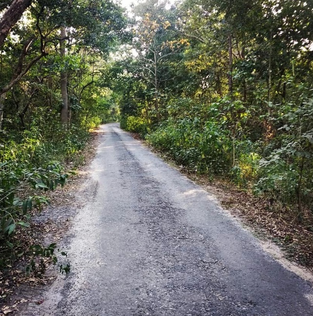 Bhikhnathori forest road