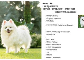 Bihar Officials Shocked by Residency Application Naming Applicant 'Dog Kumar' and Father 'Kutta Kumar Vishwas'