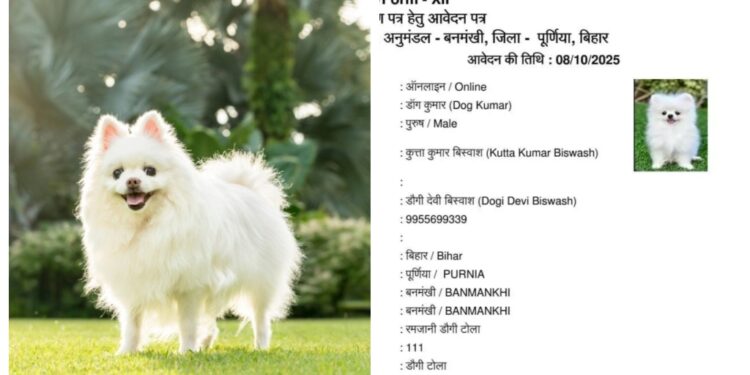 Bihar Officials Shocked by Residency Application Naming Applicant 'Dog Kumar' and Father 'Kutta Kumar Vishwas'