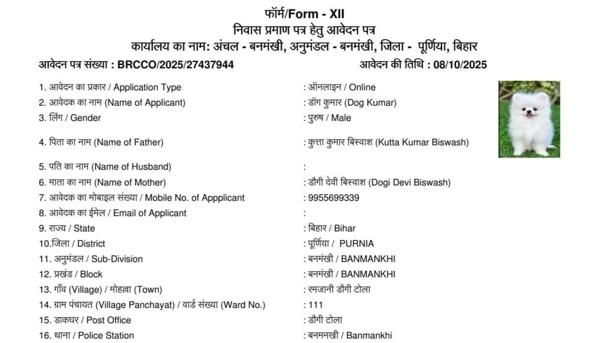 Bihar Officials Shocked by Residency Application Naming Applicant 'Dog Kumar' and Father 'Kutta Kumar Vishwas'