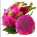 Dragon fruit