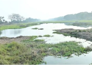East Champaran’s Historic Horse Race Pond to Get Rs 50-Crore Tourism Makeover