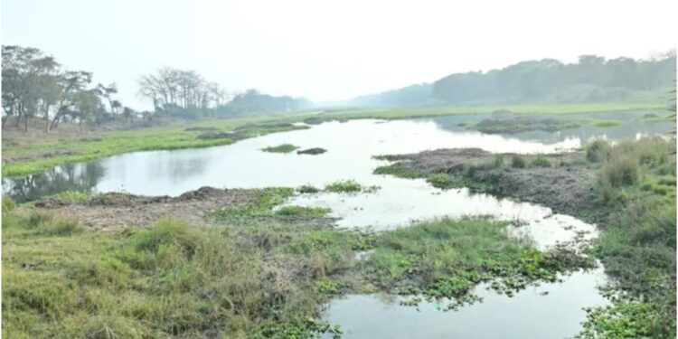 East Champaran’s Historic Horse Race Pond to Get Rs 50-Crore Tourism Makeover