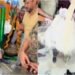 Bihar Election 2025: Khesari Lal Yadav Showered with 400 Litres of Milk and Weighed with Coins in Chhapra