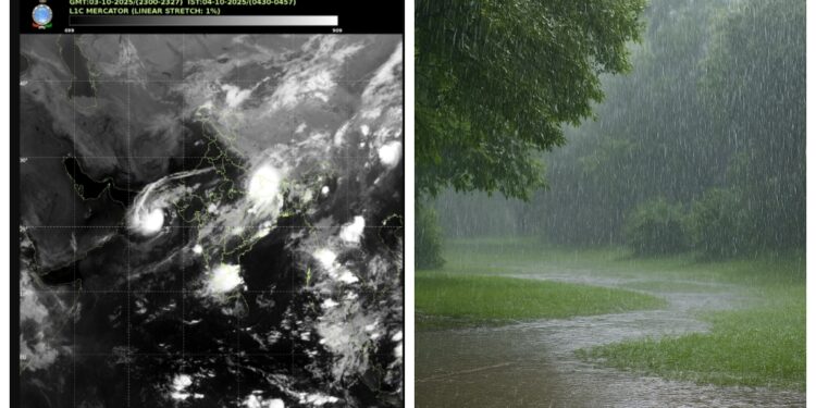 From Patna to Purnia, Heavy Rains Batter Bihar, Alerts in 38 Districts