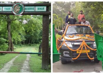 Cyclone Montha Forces Closure of Bihar’s Valmiki Tiger Reserve Safari