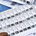 Bihar Voter Rolls Show Steep Decline in Nepal and Bangladesh Border Districts, Madhubani Records Biggest Drop