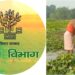 Bihar Agriculture Department Offers Subsidies to Boost Foxnut Cultivation; Applications Open Until October 10