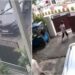 Speeding Black SUV Hits Two Pedestrians in Patna, CCTV Footage Captures Chaos