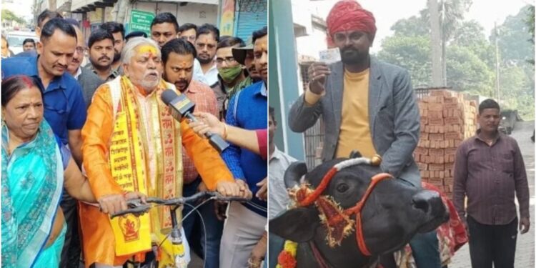 Bihar Elections: Voter Arrives on Buffalo in Katihar; Nitish’s Minister Cycles to Cast Vote