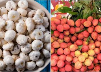 Bihar to Build Export Centres in Every District; Madhubani Art, Makhana and Litchi to Be Shipped Abroad Within 24 Hours