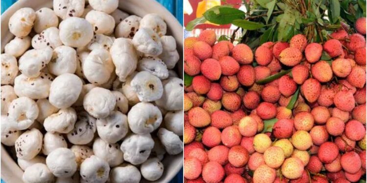 Bihar to Build Export Centres in Every District; Madhubani Art, Makhana and Litchi to Be Shipped Abroad Within 24 Hours